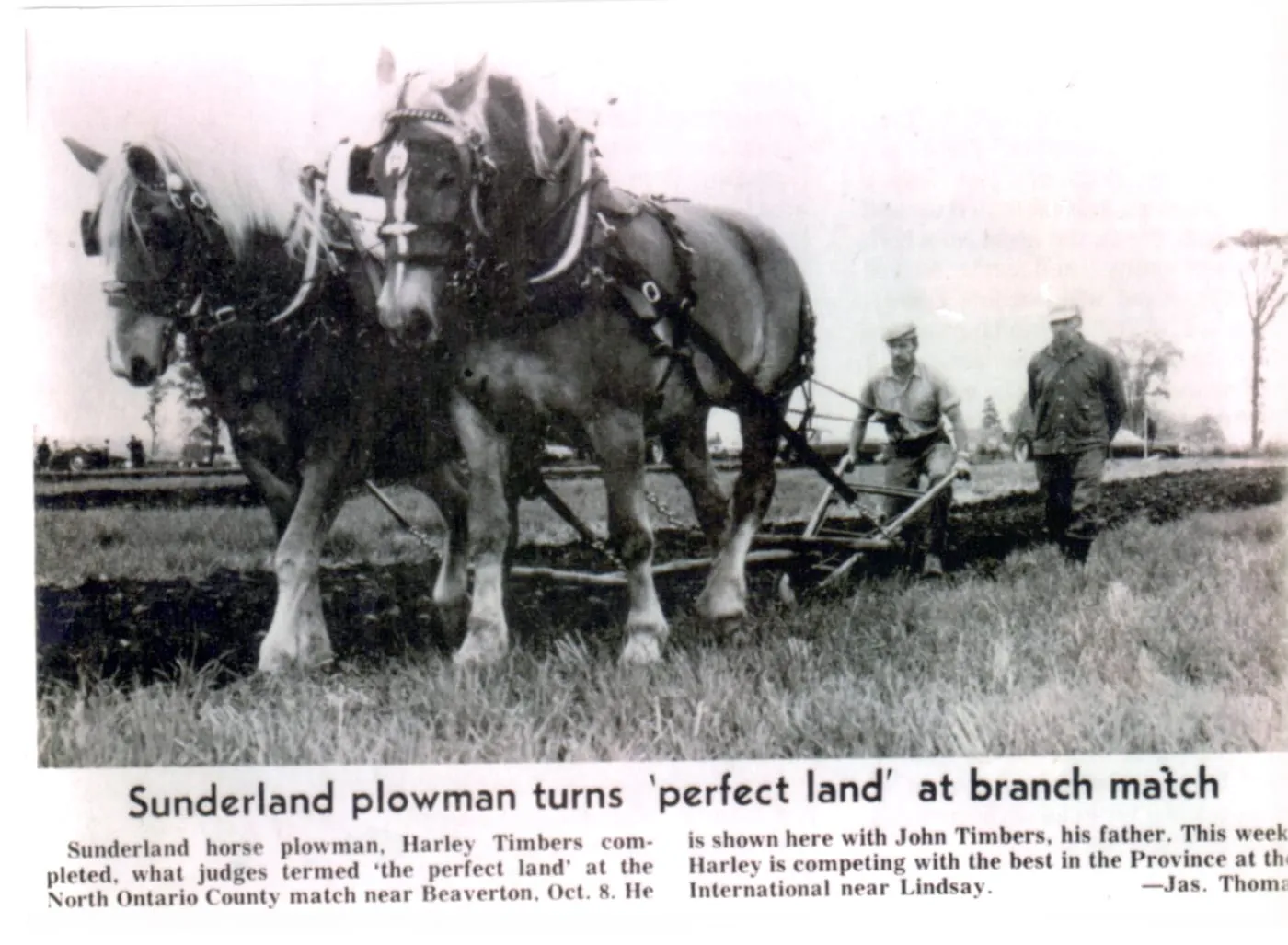 Harley with their large, strong Belgians plowing the fields on their family farm
